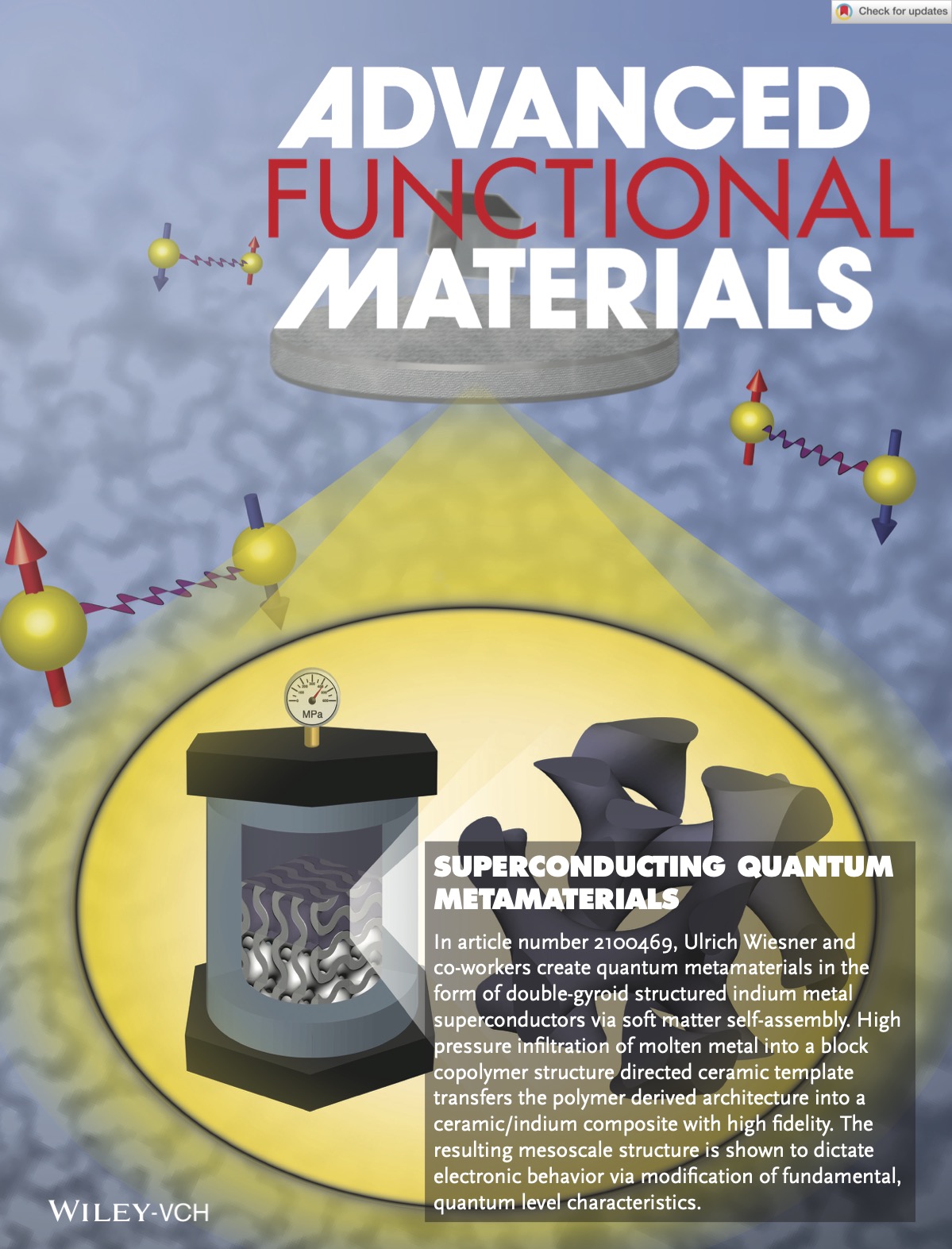 Advanced Functional Materials (06/2021 cover)