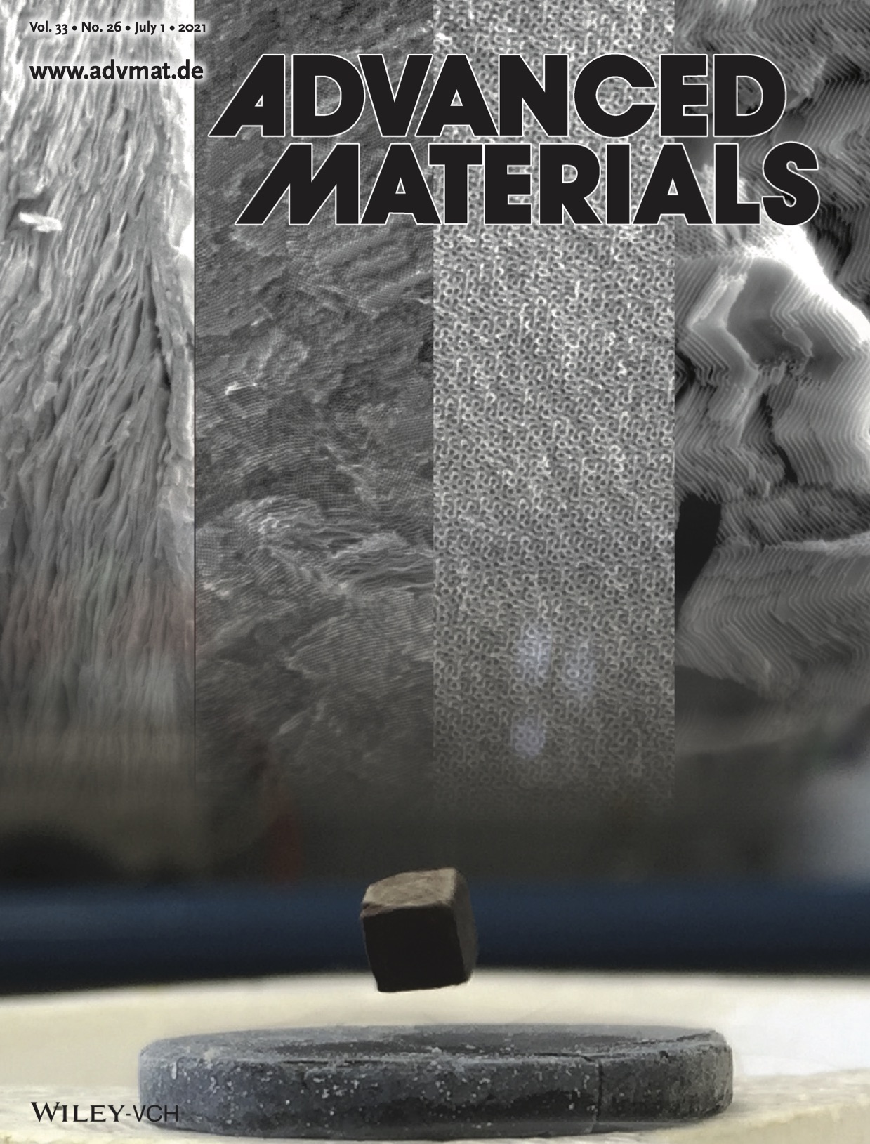 Advanced Functional Materials (07/2021 cover)