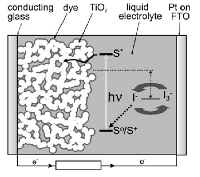 fig4