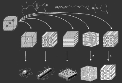 Morphologies