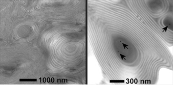 Nanoparticle Hybrids